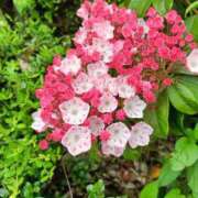 ヒメ日記 2025/05/28 15:32 投稿 くみ 優しい奥様 札幌すすきの店