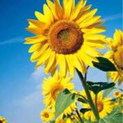 ヒメ日記 2025/06/06 06:14 投稿 くみ 優しい奥様 札幌すすきの店