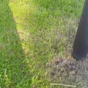 ヒメ日記 2025/06/10 16:26 投稿 くみ 優しい奥様 札幌すすきの店