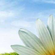 ヒメ日記 2025/06/17 09:04 投稿 くみ 優しい奥様 札幌すすきの店