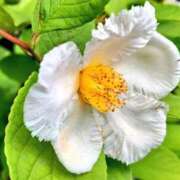 ヒメ日記 2025/07/07 09:34 投稿 くみ 優しい奥様 札幌すすきの店