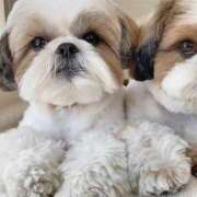 ヒメ日記 2025/07/09 11:04 投稿 くみ 優しい奥様 札幌すすきの店