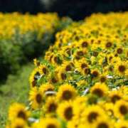 ヒメ日記 2025/07/14 13:04 投稿 くみ 優しい奥様 札幌すすきの店