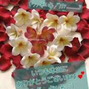 ヒメ日記 2025/07/22 10:44 投稿 くみ 優しい奥様 札幌すすきの店