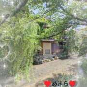 ヒメ日記 2026/05/16 16:57 投稿 あきら レッドろまん枚方店