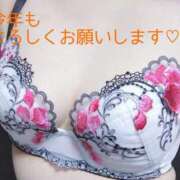 ヒメ日記 2026/01/14 00:48 投稿 小百合(さゆり) 札幌人妻マドンナ