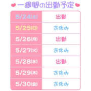 ヒメ日記 2025/05/24 15:13 投稿 ほむら 横浜ハッピーマットパラダイス