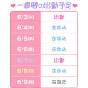 ヒメ日記 2025/06/03 09:05 投稿 ほむら 横浜ハッピーマットパラダイス