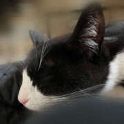 ヒメ日記 2025/06/28 09:05 投稿 ほむら 横浜ハッピーマットパラダイス