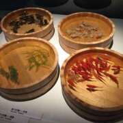 ヒメ日記 2025/08/20 12:32 投稿 ひろせ 熟女の風俗最終章 宇都宮店