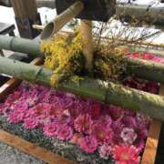 ヒメ日記 2025/10/29 13:52 投稿 ひろせ 熟女の風俗最終章 宇都宮店