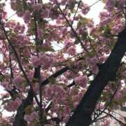 ヒメ日記 2025/10/30 08:51 投稿 ひろせ 熟女の風俗最終章 宇都宮店