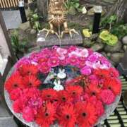 ヒメ日記 2025/11/04 13:21 投稿 ひろせ 熟女の風俗最終章 宇都宮店