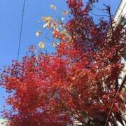 ひろせ 最終日(*˘︶˘*).｡.:*♡ 熟女の風俗最終章 宇都宮店