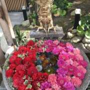 ヒメ日記 2026/01/21 14:02 投稿 ひろせ 熟女の風俗最終章 宇都宮店