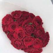 ヒメ日記 2026/03/16 13:31 投稿 ひろせ 熟女の風俗最終章 宇都宮店