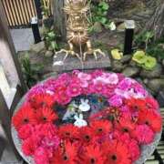 ヒメ日記 2026/03/17 08:33 投稿 ひろせ 熟女の風俗最終章 宇都宮店