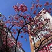 ヒメ日記 2026/03/20 08:43 投稿 ひろせ 熟女の風俗最終章 宇都宮店