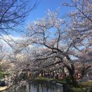 ヒメ日記 2026/03/30 13:41 投稿 ひろせ 熟女の風俗最終章 宇都宮店