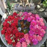 ヒメ日記 2026/03/31 10:31 投稿 ひろせ 熟女の風俗最終章 宇都宮店