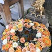 ヒメ日記 2026/04/01 11:41 投稿 ひろせ 熟女の風俗最終章 宇都宮店