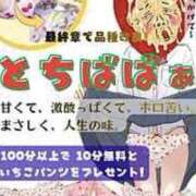 ヒメ日記 2026/04/14 14:41 投稿 ひろせ 熟女の風俗最終章 宇都宮店