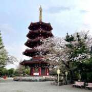 ヒメ日記 2025/04/15 16:12 投稿 茉白【ましろ】 輝女