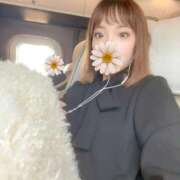 ヒメ日記 2025/04/16 18:10 投稿 茉白【ましろ】 輝女