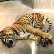 ヒメ日記 2025/06/14 15:24 投稿 茉白【ましろ】 輝女