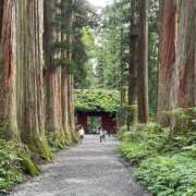ヒメ日記 2025/07/11 18:22 投稿 茉白【ましろ】 輝女