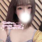 ヒメ日記 2025/04/13 10:45 投稿 ましろ 極楽城(ゴクラクジョウ)