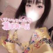 ヒメ日記 2025/04/14 11:01 投稿 ましろ 極楽城(ゴクラクジョウ)