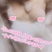 ヒメ日記 2025/10/29 17:54 投稿 さら 恋のうた