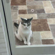 ヒメ日記 2026/01/11 20:35 投稿 白山みるく 癒されるワイフ