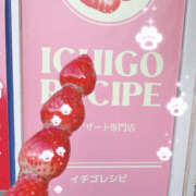 ヒメ日記 2026/01/13 13:50 投稿 白山みるく 癒されるワイフ