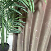 ヒメ日記 2026/01/16 10:55 投稿 白山みるく 癒されるワイフ