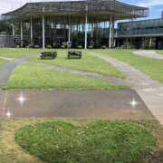 ヒメ日記 2026/01/23 15:01 投稿 白山みるく 癒されるワイフ