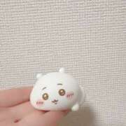 ヒメ日記 2026/01/30 00:11 投稿 白山みるく 癒されるワイフ