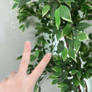 ヒメ日記 2026/04/28 22:39 投稿 白山みるく 癒されるワイフ