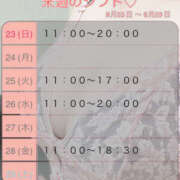 ヒメ日記 2026/08/22 19:35 投稿 白山みるく 癒されるワイフ