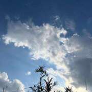 ヒメ日記 2025/04/18 11:53 投稿 ことは One More 奥様　錦糸町店