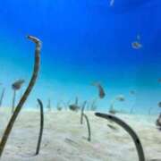 ヒメ日記 2025/09/16 14:47 投稿 ことは One More 奥様　錦糸町店