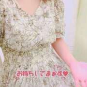 ヒメ日記 2025/12/23 08:58 投稿 ことは One More 奥様　錦糸町店