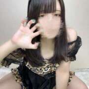 ヒメ日記 2025/11/06 15:15 投稿 つむ 池袋コスプレサンシャイン（シンデレラグループ）