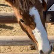 らん こんにちは✨ Queen Angel(クイーンエンジェル)