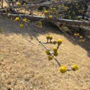 ヒメ日記 2026/02/27 09:19 投稿 らん Queen Angel(クイーンエンジェル)