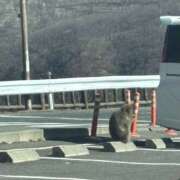 ヒメ日記 2026/02/27 12:05 投稿 らん Queen Angel(クイーンエンジェル)