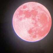 ヒメ日記 2026/04/08 07:56 投稿 らん Queen Angel(クイーンエンジェル)