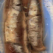 ヒメ日記 2025/08/30 18:00 投稿 ゆきな プリティラビット