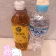 ヒメ日記 2025/08/28 14:06 投稿 あいす 横浜ひよこ倶楽部